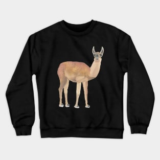 LLAMA - LLAMA CLOSE UP - From the Andes in Peru Crewneck Sweatshirt